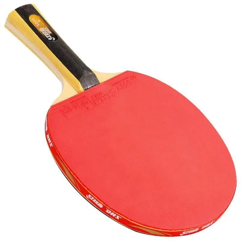 DHS 1 Star T1002 Beginners Table Tennis Bat   Case