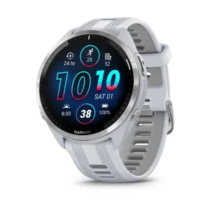 Garmin Forerunner 965 White Grey