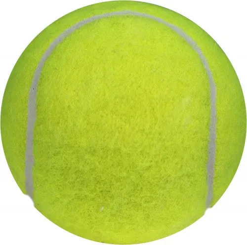 Light Cricket Tennis Balls (Set Of 2)