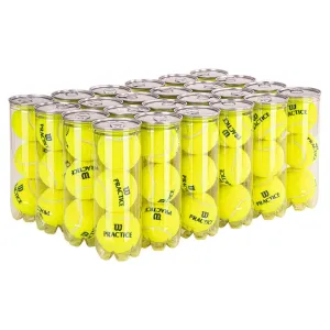 Practice Extra Duty Tennis Ball Case